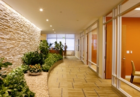 Architettura Maharishi 2